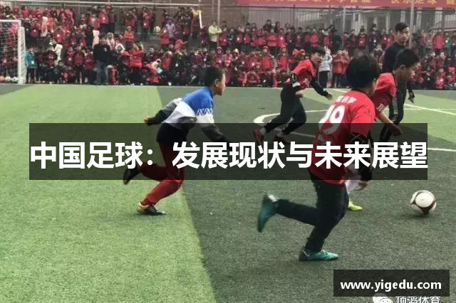 中国足球：发展现状与未来展望